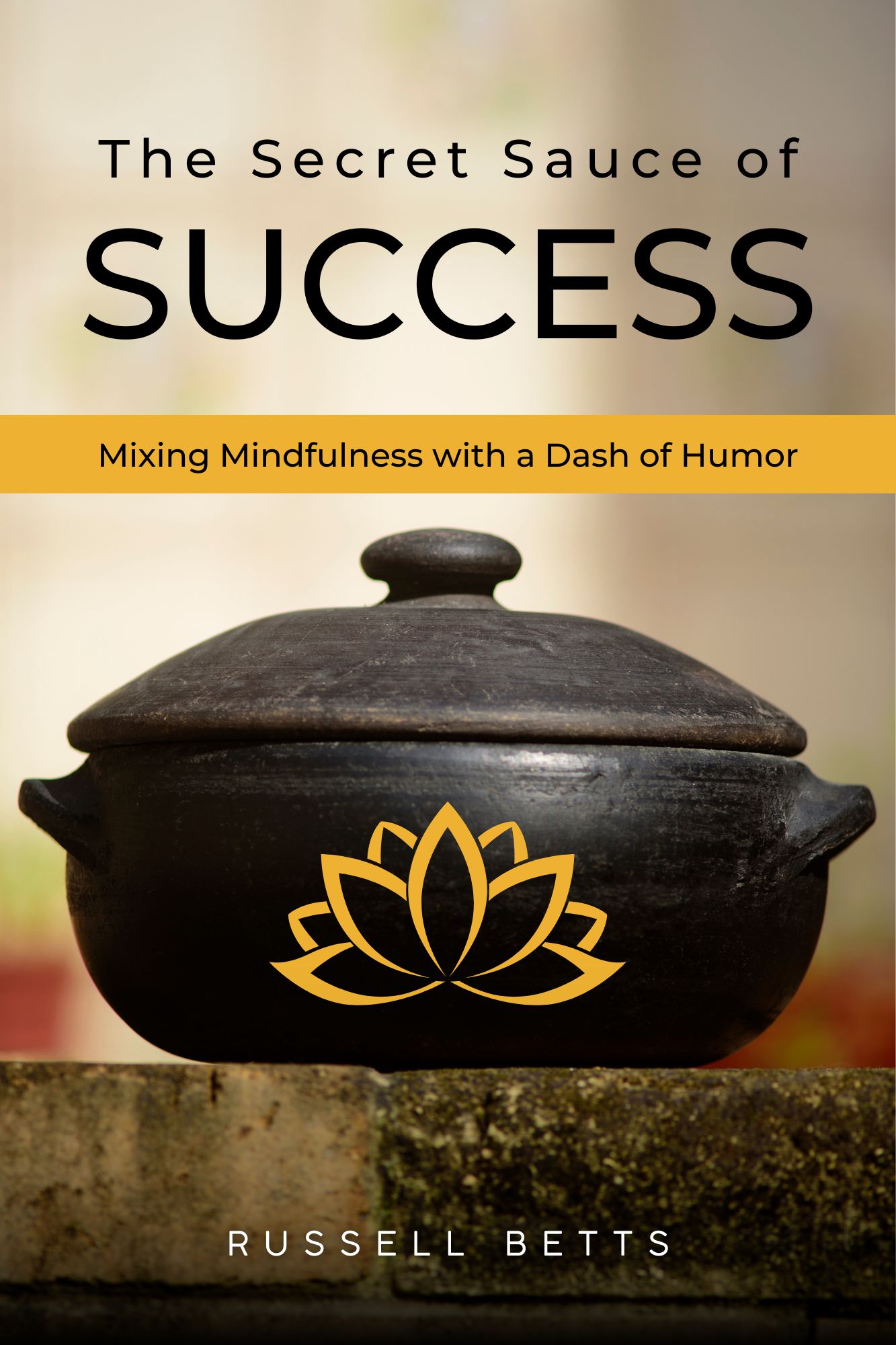 The Secret Sauce to Success — book cover